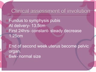 Fundus to symphysis pubis
At delivery- 13.5cm
First 24hrs- constant- steady decrease
1.25cm
End of second week uterus become pelvic
organ.
6wk- normal size
 