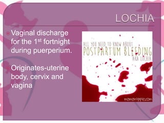 Vaginal discharge
for the 1st fortnight
during puerperium.
Originates-uterine
body, cervix and
vagina
 