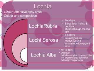 ● Odour: offensive fishy smell
● Colour and composition
LochiaRubra
Lochi Serosa
Lochia Alba
• 1-4 days
• Blood,fetal memb &
decidua
shreds,lanugo,mecon
ium
• 5-6 days
• Leucocytes,Cx
mucus,wound
exudates,microorgani
sms
• 10-15 days
• Decicual
cells,leucocytes,mucus,choles
trin crystals,fatty epithelial
cells,microorganisms
 