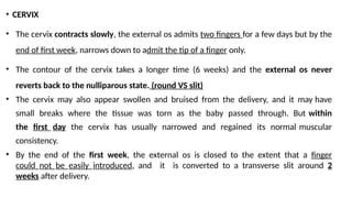 • CERVIX
• The cervix contracts slowly, the external os admits two fingers for a few days but by the
end of first week, narrows down to admit the tip of a finger only.
• The contour of the cervix takes a longer time (6 weeks) and the external os never
reverts back to the nulliparous state. (round VS slit)
• The cervix may also appear swollen and bruised from the delivery, and it may have
small breaks where the tissue was torn as the baby passed through. But within
the first day the cervix has usually narrowed and regained its normal muscular
consistency.
• By the end of the first week, the external os is closed to the extent that a finger
could not be easily introduced, and it is converted to a transverse slit around 2
weeks after delivery.
 