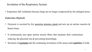 Involution of the Respiratory System
30
• Experience full ventilation because lungs are no longer compressed by the enlarged uterus
Endocrine; Oxytocin
• Oxytocin is secreted by the posterior pituitary gland and acts up on uterine muscles &
breast tissue.
• It continuously acts upon uterine muscle fibers that maintain their contractions
reducing the placental site & preventing hemorrhage.
• Secretion of oxytocin aids the continuing involution of the uterus and expulsion of milk.
 