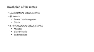 Involution of the uterus
• I. ANATOMICAL CIRCUMSTANCE
• Uterus:-
• Lower Uterine segment
• Cervix
• II. PHYSIOLOGICAL CIRCUMSTANCE
• Muscles
• Blood vessels
• Endometrium
 