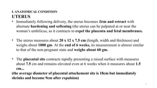 5
I. ANATOMICAL CONDITION
UTERUS
• Immediately following delivery, the uterus becomes firm and retract with
alternate hardening and softening (the uterus can be palpated at or near the
woman’s umbilicus, as it contracts to expel the placenta and fetal membranes.
• The uterus measures about 20 x 12 x 7.5 cm (length, width and thickness) and
weighs about 1000 gm. At the end of 6 weeks, its measurement is almost similar
to that of the non-pregnant state and weighs about 60 gm.
• The placental site contracts rapidly presenting a raised surface with measures
about 7.5 cm and remains elevated even at 6 weeks when it measures about 1.5
cm...
(the average diameter of placental attachement site is 18cm but immediately
shrinks and become 9cm after expulsion)
 