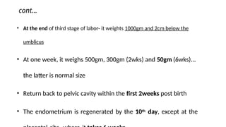 cont...
• At the end of third stage of labor- it weights 1000gm and 2cm below the
umblicus
• At one week, it weighs 500gm, 300gm (2wks) and 50gm (6wks)...
the latter is normal size
• Return back to pelvic cavity within the first 2weeks post birth
• The endometrium is regenerated by the 10th day, except at the
 