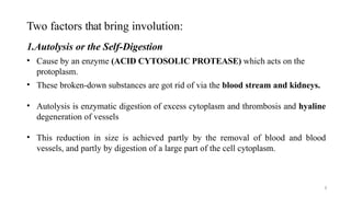 Two factors that bring involution:
8
1.Autolysis or the Self-Digestion
• Cause by an enzyme (ACID CYTOSOLIC PROTEASE) which acts on the
protoplasm.
• These broken-down substances are got rid of via the blood stream and kidneys.
• Autolysis is enzymatic digestion of excess cytoplasm and thrombosis and hyaline
degeneration of vessels
• This reduction in size is achieved partly by the removal of blood and blood
vessels, and partly by digestion of a large part of the cell cytoplasm.
 