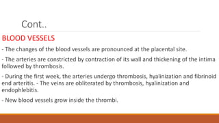 Cont..
BLOOD VESSELS
- The changes of the blood vessels are pronounced at the placental site.
- The arteries are constricted by contraction of its wall and thickening of the intima
followed by thrombosis.
- During the first week, the arteries undergo thrombosis, hyalinization and fibrinoid
end arteritis. - The veins are obliterated by thrombosis, hyalinization and
endophlebitis.
- New blood vessels grow inside the thrombi.
 