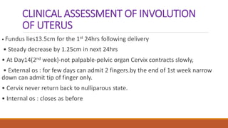 CLINICAL ASSESSMENT OF INVOLUTION
OF UTERUS
• Fundus lies13.5cm for the 1st 24hrs following delivery
• Steady decrease by 1.25cm in next 24hrs
• At Day14(2nd week)-not palpable-pelvic organ Cervix contracts slowly,
• External os : for few days can admit 2 fingers.by the end of 1st week narrow
down can admit tip of finger only.
• Cervix never return back to nulliparous state.
• Internal os : closes as before
 