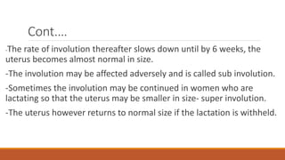 Cont.…
-The rate of involution thereafter slows down until by 6 weeks, the
uterus becomes almost normal in size.
-The involution may be affected adversely and is called sub involution.
-Sometimes the involution may be continued in women who are
lactating so that the uterus may be smaller in size- super involution.
-The uterus however returns to normal size if the lactation is withheld.
 