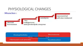 PHYSIOLOGICAL CHANGES
 
