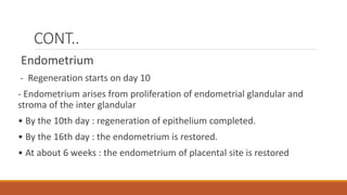 CONT..
Endometrium
- Regeneration starts on day 10
- Endometrium arises from proliferation of endometrial glandular and
stroma of the inter glandular
• By the 10th day : regeneration of epithelium completed.
• By the 16th day : the endometrium is restored.
• At about 6 weeks : the endometrium of placental site is restored
 