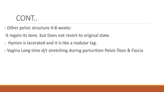 CONT..
- Other pelvic structure 4-8 weeks:
It regain its tone. but Does not revert to original state.
- Hymen is lacerated and it is like a nodular tag.
- Vagina Long time d/t stretching during parturition Pelvic floor & Fascia
 