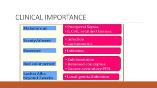 CLINICAL IMPORTANCE
 