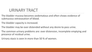 URINARY TRACT
The bladder mucosa becomes oedematous and often shows evidence of
submucous extravasation of blood.
The bladder capacity is increased.
The bladder may be over distended without any desire to pass urine.
The common urinary problems are: over distension, incomplete emptying and
presence of residual urine.
Urinary stasis is seen in more than 50 % of women.
 