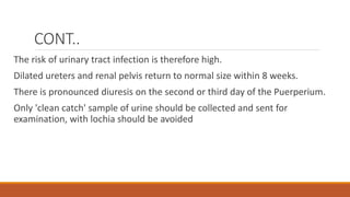 CONT..
The risk of urinary tract infection is therefore high.
Dilated ureters and renal pelvis return to normal size within 8 weeks.
There is pronounced diuresis on the second or third day of the Puerperium.
Only 'clean catch' sample of urine should be collected and sent for
examination, with lochia should be avoided
 