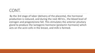 CONT.
By the 3rd stage of labor (delivery of the placenta), the hormonal
production is reduced, and during the next 48 hrs., the blood level of
estrogen and progesterone fall. This stimulates the anterior pituitary
gland to produce the lactogenic hormone (prolactin hormone) which
acts on the acini cells in the breast, and milk is formed.
 