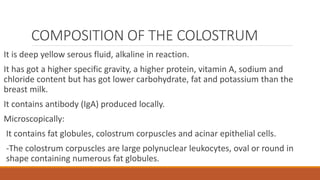 COMPOSITION OF THE COLOSTRUM
It is deep yellow serous fluid, alkaline in reaction.
It has got a higher specific gravity, a higher protein, vitamin A, sodium and
chloride content but has got lower carbohydrate, fat and potassium than the
breast milk.
It contains antibody (IgA) produced locally.
Microscopically:
It contains fat globules, colostrum corpuscles and acinar epithelial cells.
-The colostrum corpuscles are large polynuclear leukocytes, oval or round in
shape containing numerous fat globules.
 