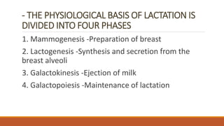 - THE PHYSIOLOGICAL BASIS OF LACTATION IS
DIVIDED INTO FOUR PHASES
1. Mammogenesis -Preparation of breast
2. Lactogenesis -Synthesis and secretion from the
breast alveoli
3. Galactokinesis -Ejection of milk
4. Galactopoiesis -Maintenance of lactation
 