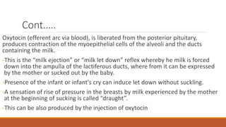 Cont.….
Oxytocin (efferent arc via blood), is liberated from the posterior pituitary,
produces contraction of the myoepithelial cells of the alveoli and the ducts
containing the milk.
-This is the “milk ejection” or “milk let down” reflex whereby he milk is forced
down into the ampulla of the lactiferous ducts, where from it can be expressed
by the mother or sucked out by the baby.
-Presence of the infant or infant's cry can induce let down without suckling.
-A sensation of rise of pressure in the breasts by milk experienced by the mother
at the beginning of sucking is called “draught”.
-This can be also produced by the injection of oxytocin
 