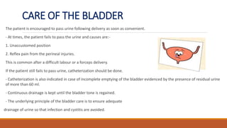 CARE OF THE BLADDER
The patient is encouraged to pass urine following delivery as soon as convenient.
- At times, the patient fails to pass the urine and causes are:-
1. Unaccustomed position
2. Reflex pain from the perineal injuries.
This is common after a difficult labour or a forceps delivery.
If the patient still fails to pass urine, catheterization should be done.
- Catheterization is also indicated in case of incomplete emptying of the bladder evidenced by the presence of residual urine
of more than 60 ml.
- Continuous drainage is kept until the bladder tone is regained.
- The underlying principle of the bladder care is to ensure adequate
drainage of urine so that infection and cystitis are avoided.
 