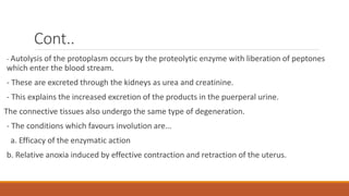 Cont..
- Autolysis of the protoplasm occurs by the proteolytic enzyme with liberation of peptones
which enter the blood stream.
- These are excreted through the kidneys as urea and creatinine.
- This explains the increased excretion of the products in the puerperal urine.
The connective tissues also undergo the same type of degeneration.
- The conditions which favours involution are...
a. Efficacy of the enzymatic action
b. Relative anoxia induced by effective contraction and retraction of the uterus.
 