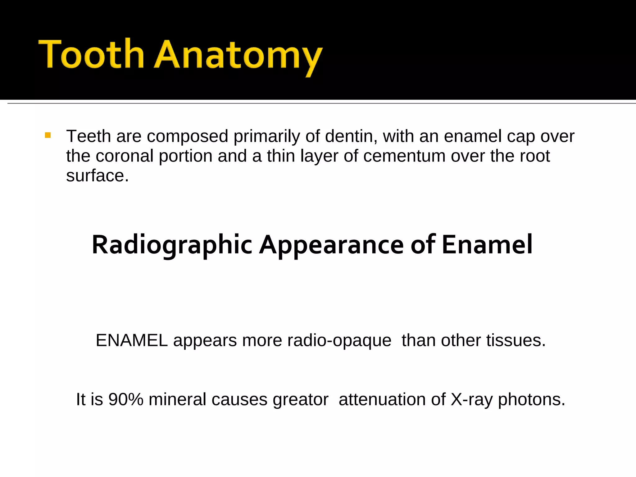 Normal Radiographic Anatomy | PPT