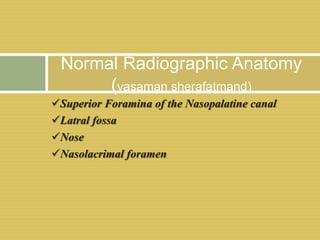 Superior Foramina of the Nasopalatine canal
Latral fossa
Nose
Nasolacrimal foramen
Normal Radiographic Anatomy
(yasaman sherafatmand)
 