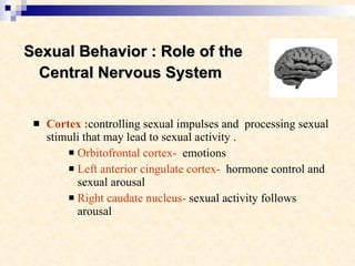 Sexual Behavior : Role of the Central Nervous System   Cortex : controlling sexual impulses and  processing sexual stimuli that may lead to sexual activity . Orbitofrontal cortex-   emotions Left anterior cingulate cortex-   hormone control and sexual arousal Right caudate nucleus-  sexual activity follows arousal  