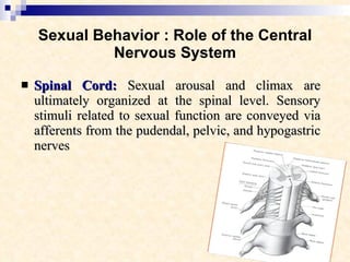 Sexual Behavior : Role of the Central Nervous System Spinal Cord:   Sexual arousal and climax are ultimately organized at the spinal level. Sensory stimuli related to sexual function are conveyed via afferents from the pudendal, pelvic, and hypogastric nerves  