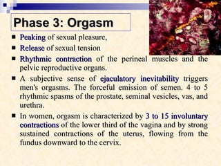 Phase 3: Orgasm   Peaking  of sexual pleasure,  Release  of sexual tension  Rhythmic contraction  of the perineal muscles and the pelvic reproductive organs.  A subjective sense of  ejaculatory inevitability  triggers men's orgasms. The forceful emission of semen. 4 to 5 rhythmic spasms of the prostate, seminal vesicles, vas, and urethra.  In women, orgasm is characterized by  3 to 15 involuntary contractions  of the lower third of the vagina and by strong sustained contractions of the uterus, flowing from the fundus downward to the cervix.  