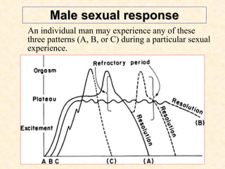 Male sexual response An individual man may experience any of these three patterns (A, B, or C) during a particular sexual experience.  