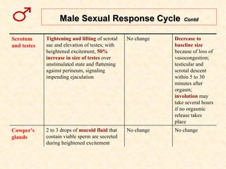 Male Sexual Response Cycle   Contd No change No change 2 to 3 drops of  mucoid fluid  that contain viable sperm are secreted during heightened excitement Cowper's glands Decrease to baseline size  because of loss of vasocongestion; testicular and scrotal descent within 5 to 30 minutes after orgasm;  involution  may take several hours if no orgasmic release takes place No change Tightening and lifting  of scrotal sac and elevation of testes; with heightened excitement,  50% increase in size of testes  over unstimulated state and flattening against perineum, signaling impending ejaculation Scrotum and testes 