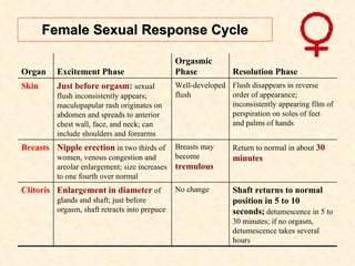 Female Sexual Response Cycle Shaft returns to normal position in 5 to 10 seconds;  detumescence in 5 to 30 minutes; if no orgasm, detumescence takes several hours No change Enlargement in diameter  of glands and shaft; just before orgasm, shaft retracts into prepuce Clitoris Return to normal in about  30 minutes Breasts may become  tremulous Nipple erection  in two thirds of women, venous congestion and areolar enlargement; size increases to one fourth over normal Breasts Flush disappears in reverse order of appearance; inconsistently appearing film of perspiration on soles of feet and palms of hands Well-developed flush Just before orgasm:  sexual flush inconsistently appears; maculopapular rash originates on abdomen and spreads to anterior chest wall, face, and neck; can include shoulders and forearms Skin Resolution Phase Orgasmic Phase Excitement Phase Organ 