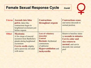 Female Sexual Response Cycle  Contd Return to baseline status in  seconds to minutes Cervix color and size return to normal , and cervix descends into seminal pool Loss of voluntary muscular Control  Rectum:  rhythmical contractions of sphincter Hyperventilation  and  tachycardia Myotonia: A few drops of mucoid secretion from Bartholin's glands during heightened excitement Cervix swells  slightly and is passively elevated with uterus Other Contractions cease , and uterus descends to normal position Contractions  throughout orgasm Ascends into false pelvis ; labor-like contractions begin in heightened excitement just before orgasm Uterus 