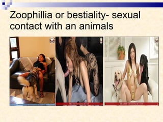 Zoophillia or bestiality- sexual contact with an animals 