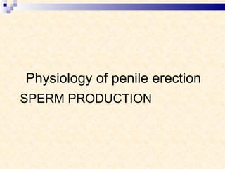SPERM PRODUCTION Physiology of penile erection 