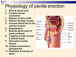Physiology of penile erection Brain & spinal cord Increase sexual excitement Release of nitric oxide Dilation of blood vessels Increase blood flow to the arteries of penis Engorgement Muscles @ the base of penis contracts Trapping of both venous & arterial blood Stimulates erectile tissues (corpus cavernosum, spongiosum) Distention & erection of penis 