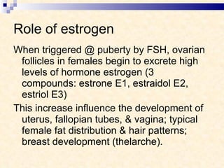 Role of estrogen When triggered @ puberty by FSH, ovarian follicles in females begin to excrete high levels of hormone estrogen (3 compounds: estrone E1, estraidol E2, estriol E3) This increase influence the development of uterus, fallopian tubes, & vagina; typical female fat distribution & hair patterns; breast development (thelarche). 