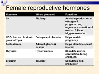 Female reproductive hormones Hormone Where produced Functions LH Pituitary  Assist in production of estrogen & progesterone, regulates maturation of ovarian follicle, triggers ovulation HCG- human chorionic gonadotropin Embryo and placenta Helps sustain pregnancy Testosterone Adrenal glands & ovaries Helps stimulate sexual interest Oxytocin Hypothalamus Stimulate uterine contraction during childbirth prolactin pituitary Stimulates milk production 