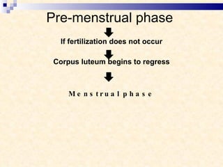 Pre-menstrual phase If fertilization does not occur Corpus luteum begins to regress Menstrual phase 