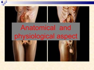 Anatomical  and physiological aspect 