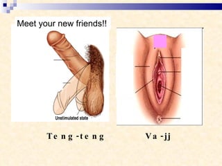 Teng-teng Va-jj Meet your new friends!! 