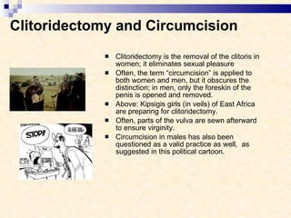 Clitoridectomy and Circumcision Clitoridectomy is the removal of the clitoris in women; it eliminates sexual pleasure Often, the term “circumcision” is applied to both women and men, but it obscures the distinction; in men, only the foreskin of the penis is opened and removed. Above: Kipsigis girls (in veils) of East Africa are preparing for clitoridectomy. Often, parts of the vulva are sewn afterward to ensure virginity. Circumcision in males has also been questioned as a valid practice as well,  as  suggested in this political cartoon. 