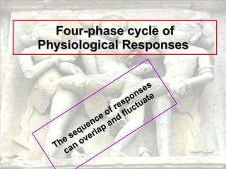 Four-phase cycle of Physiological Responses   The sequence of responses can overlap and fluctuate 