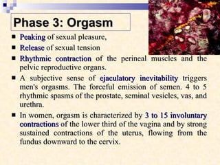 Phase 3: Orgasm   Peaking  of sexual pleasure,  Release  of sexual tension  Rhythmic contraction  of the perineal muscles and the pelvic reproductive organs.  A subjective sense of  ejaculatory inevitability  triggers men's orgasms. The forceful emission of semen. 4 to 5 rhythmic spasms of the prostate, seminal vesicles, vas, and urethra.  In women, orgasm is characterized by  3 to 15 involuntary contractions  of the lower third of the vagina and by strong sustained contractions of the uterus, flowing from the fundus downward to the cervix.  