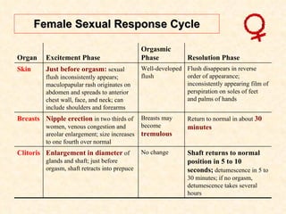 Female Sexual Response Cycle Organ Excitement Phase Orgasmic Phase Resolution Phase Skin Just before orgasm:  sexual flush inconsistently appears; maculopapular rash originates on abdomen and spreads to anterior chest wall, face, and neck; can include shoulders and forearms Well-developed flush Flush disappears in reverse order of appearance; inconsistently appearing film of perspiration on soles of feet and palms of hands Breasts Nipple erection  in two thirds of women, venous congestion and areolar enlargement; size increases to one fourth over normal Breasts may become  tremulous Return to normal in about  30 minutes Clitoris Enlargement in diameter  of glands and shaft; just before orgasm, shaft retracts into prepuce No change Shaft returns to normal position in 5 to 10 seconds;  detumescence in 5 to 30 minutes; if no orgasm, detumescence takes several hours 