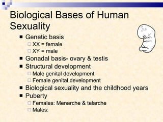 Biological Bases of Human Sexuality Genetic basis XX = female XY = male Gonadal basis- ovary & testis Structural development Male genital development  Female genital development Biological sexuality and the childhood years Puberty Females: Menarche & telarche Males:  