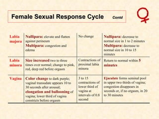 Female Sexual Response Cycle  Contd Labia majora Nullipara:  elevate and flatten against perineum Multipara:  congestion and edema No change Nullipara:  decrease to normal size in 1 to 2 minutes Multipara:  decrease to normal size in 10 to 15 minutes Labia minora Size increased  two to three times over normal; change to pink, red, deep red before orgasm Contractions of proximal labia minora Return to normal within  5 minutes Vagina Color change  to dark purple; vaginal transudate appears 10 to 30 seconds after arousal;  elongation and ballooning  of vagina; lower third of vagina constricts before orgasm 3 to 15 contractions of lower third of vagina at intervals of 0.8 second Ejaculate  forms seminal pool in upper two thirds of vagina; congestion disappears in seconds or, if no orgasm, in 20 to 30 minutes 