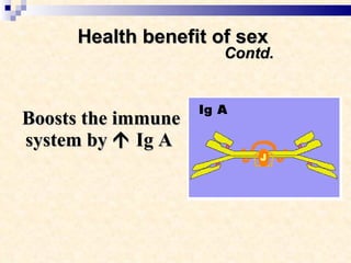 Health benefit of sex    Contd. Boosts the immune system by    Ig A  