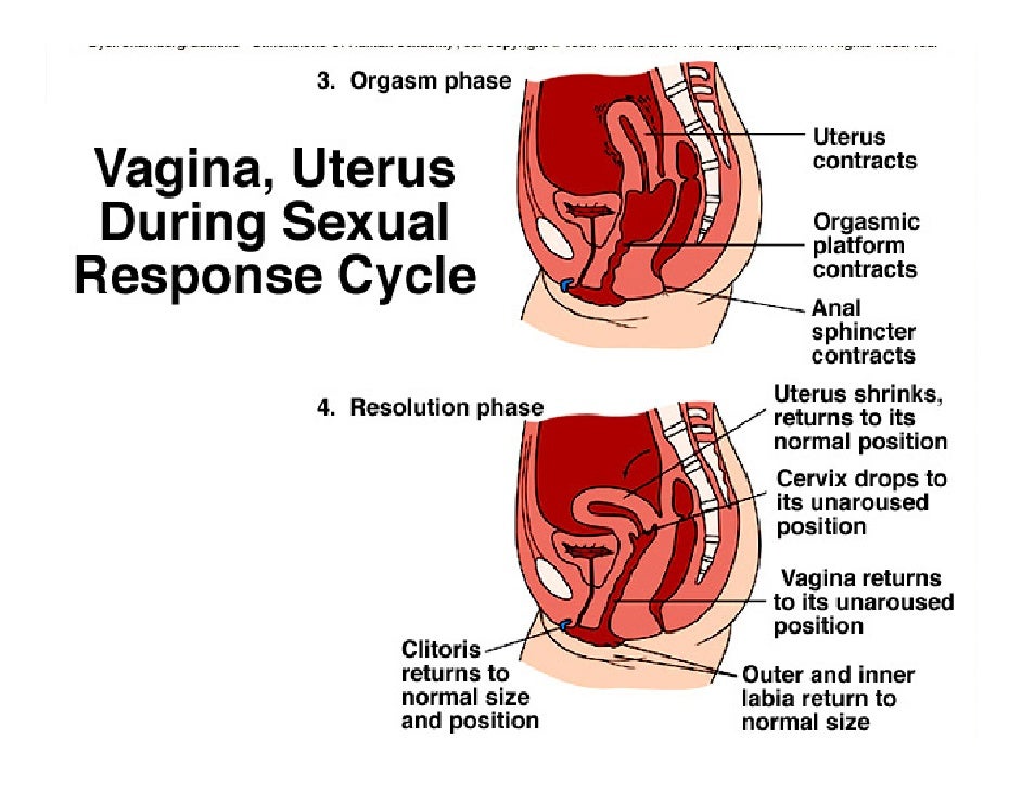 Labia Lover