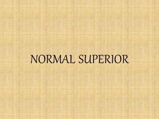 NORMAL SUPERIOR
 